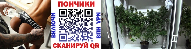 Где купить наркотики Усть-Джегута COCAIN Галлюциногенные грибы Вейп ТГК МДМА Меф МАРИХУАНА APVP