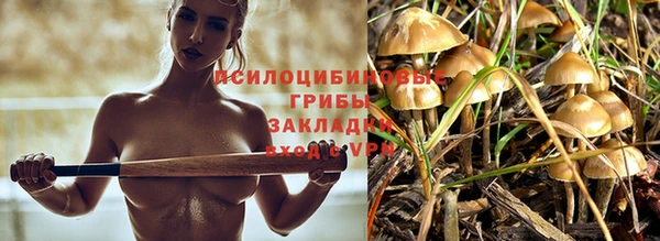 марки lsd Михайловск