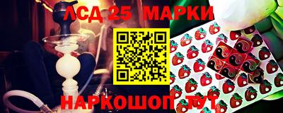 тгк Кингисепп
