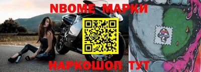 тгк Кингисепп