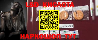 тгк Кингисепп