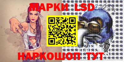 тгк Кингисепп