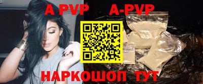 тгк Кингисепп