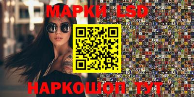 тгк Кингисепп