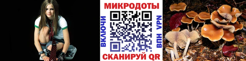 это официальный сайт  Усть-Джегута  Псилоцибиновые грибы GOLDEN TEACHER 