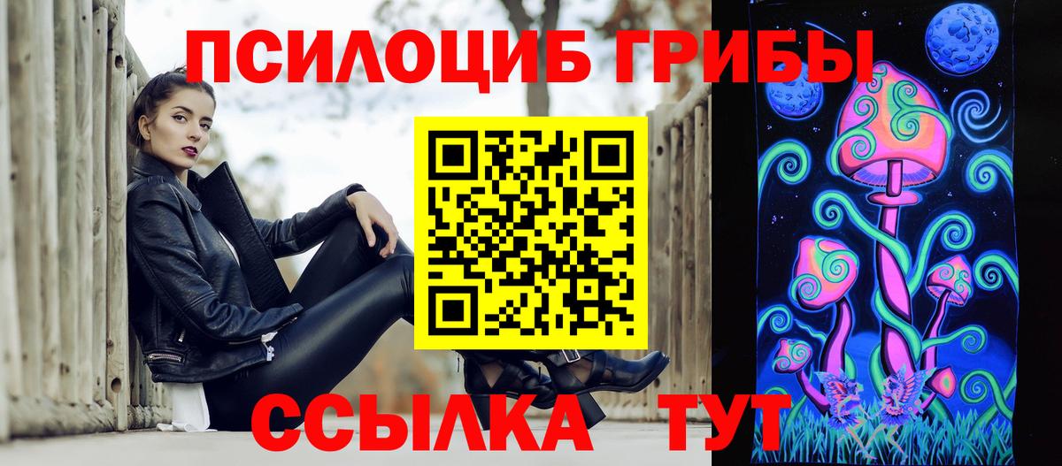Псилоцибиновые грибы мицелий Усть-Джегута